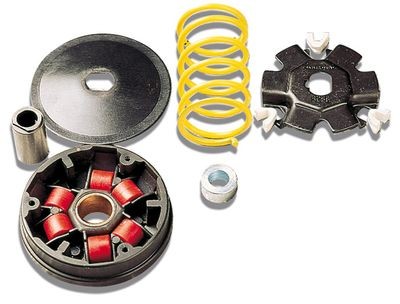 vario-kit compleet Fox Malossi